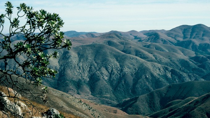 Barberton Greenstone Belt in South Africa