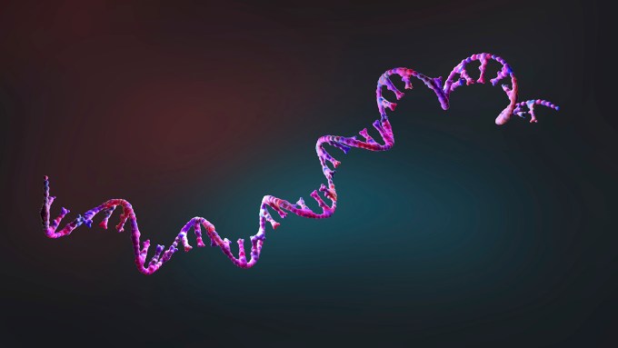 An image of RNA