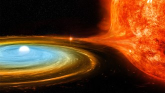 A tiny white dwarf star, surrounded by a swirl of material, is siphoning more material from a nearby fiery-looking red giant star in this illustration.