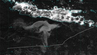 This satellite image shows a pale expanse of sea just below the island of Java in the Indian Ocean. A white line traversiing the image is the track of a yacht that sailed through this "milky sea." The track turns blue where the yacht traveled through the giant patch of bioluminescence.