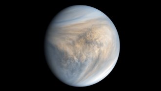 An image of Venus.