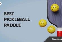 Top 6 Best Pickleball Paddle For Control To Buy In 2023