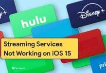 Fix Streaming Services Netflix/Prime/Spotify Not Working on iOS 15