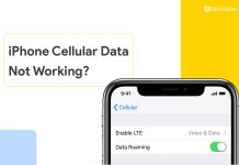 How to Fix iPhone Cellular Data Not Working on iOS 15