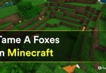 How To Tame A Foxes In Minecraft