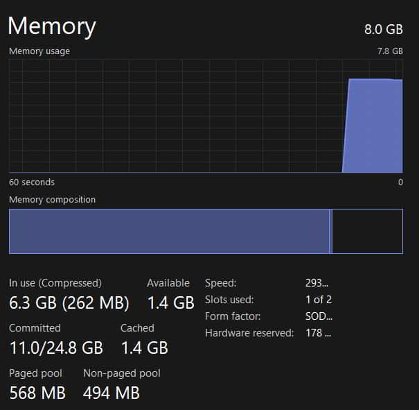 RAM USAGE