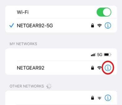 How to See Wi-Fi Password on iPhone