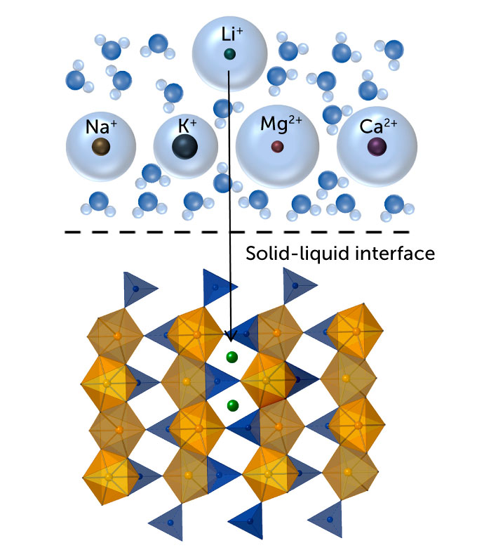 In the upper panel of the image, there are five spheres each labeled "Li+", "Na+", "K+", "Mg2+" and "Ca2+", among water molecules. An arrow points from the green sphere labeled Li+ downward to the bottom panel, which is separated from the upper panel by a dashed line labeled "Solid-liquid interface." In the bottom panel, there are blue and yellow spheres that form a periodic structure. The arrow points to one of the two green spheres, occupying two of the empty spaces within the stucture.