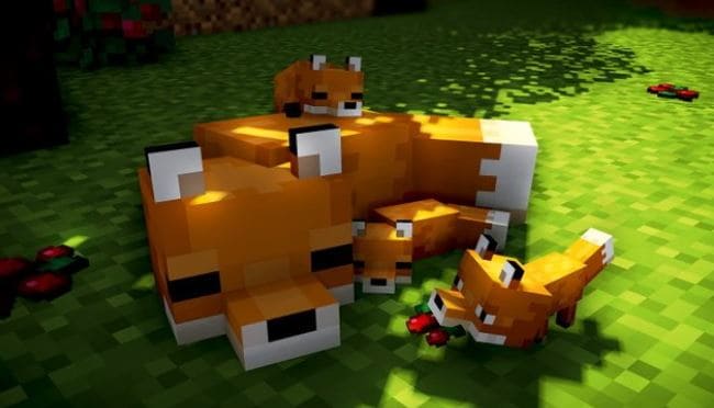 How To Tame A Fox In Minecraft?