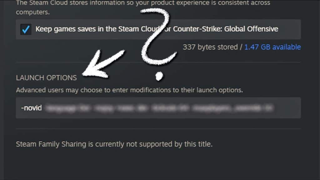 Use Steam Launch Options