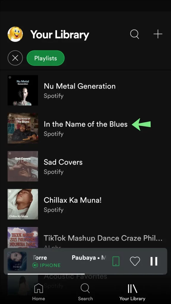 How To See Who Liked Your Playlist On Spotify