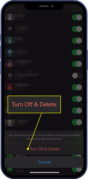 How to Delete Apps from iCloud?